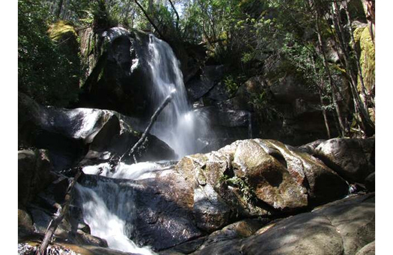 Alpine Redspot Dragonfly habitat (Photo: R. Richter)