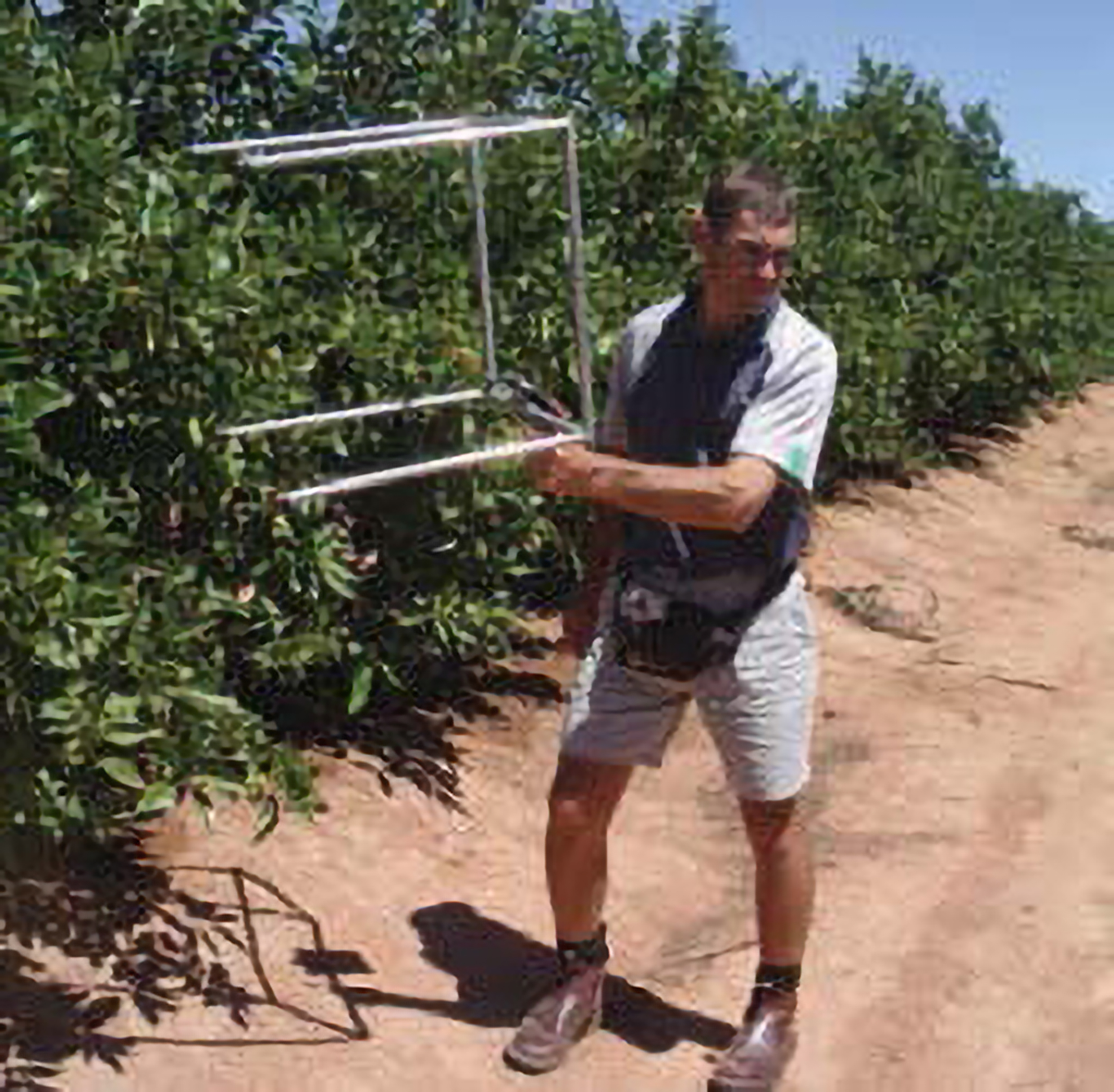 Figure 3. Move the frame into the tree without directly looking at the tree.