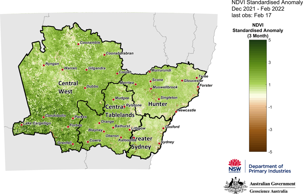 NDVI Standardised Anomaly December 2021 - February 2022