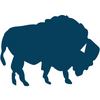 Buffalo