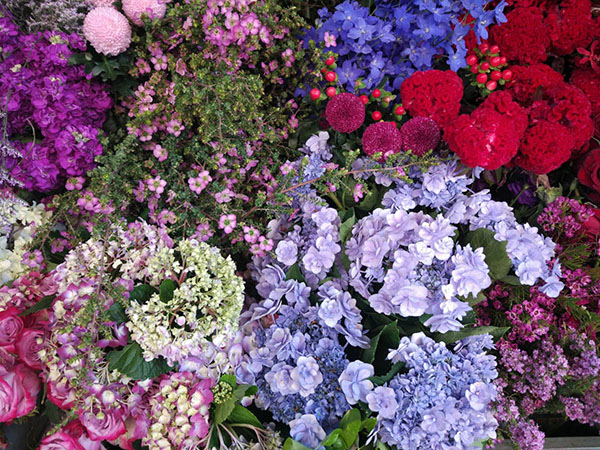 Horticulture