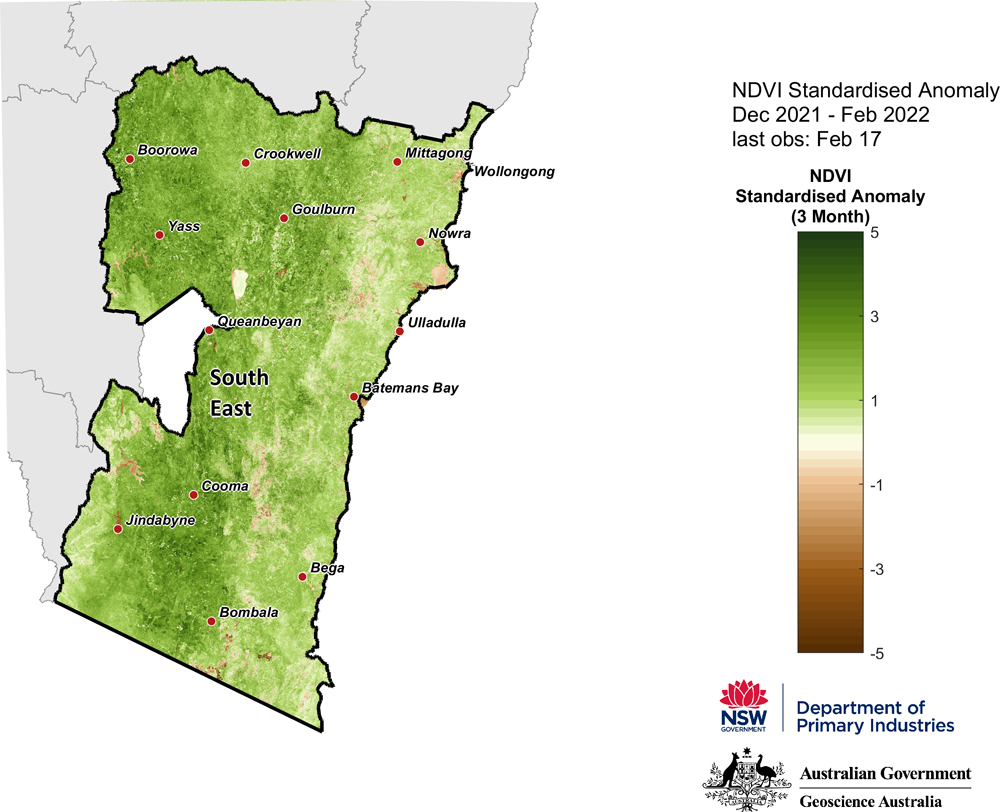 NDVI Standardised Anomaly December 2021 - February 2022