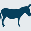 Donkey