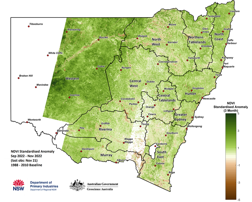 Figure 4. Seasonal NDVI anomaly September 2022 to 21 November 2022