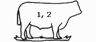 Frame score 1, 2