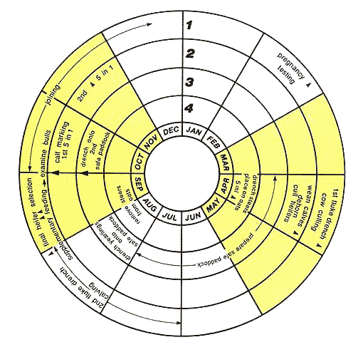 Beef herd planner circular Beef herd planner circular