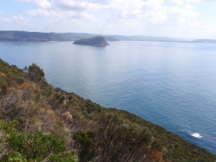 Barrenjoey Head