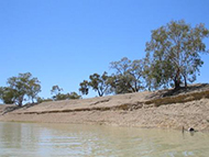 The Darling River