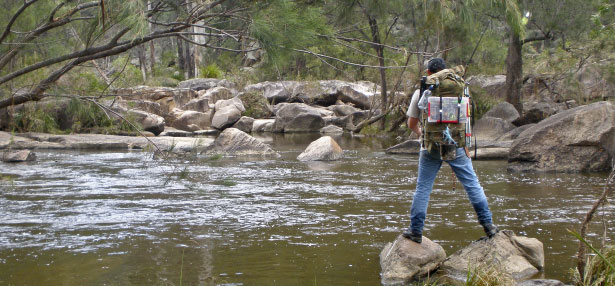 Person fishing