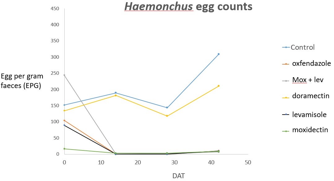 Graph: Haemonchus worm egg counts in crossbred yearling steers up to 42 days after treatment (DAT) with a range of products. 