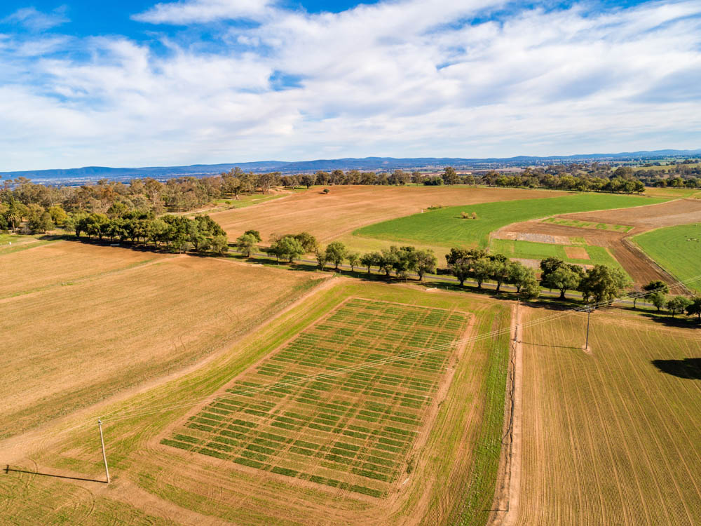 Field from the air