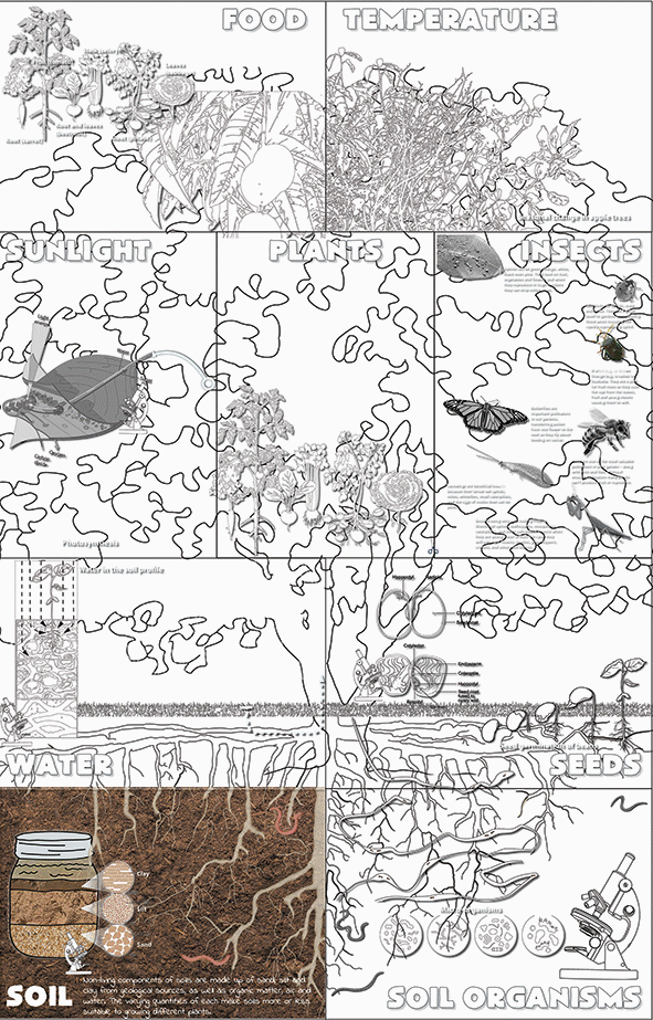 The Growing Literacy posters shown in a gif file to demonstrated the learning process from soils, sulinht, seeds, and water
