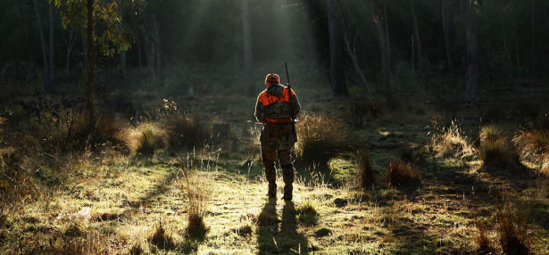 Hunter