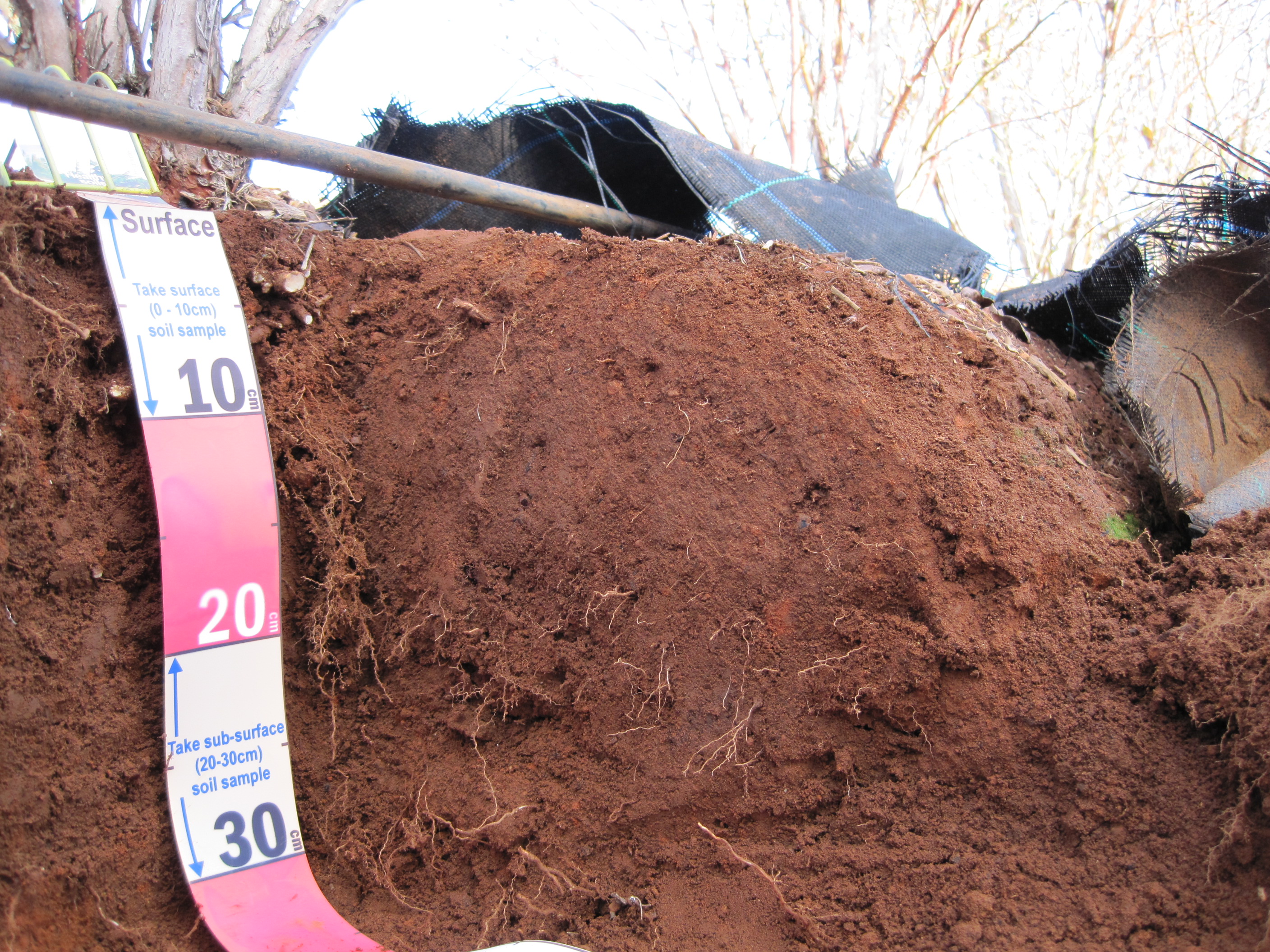 Image shows cut away profile of a soil mound 