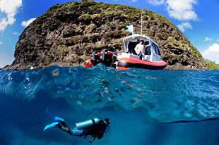 Diver with Tursiops