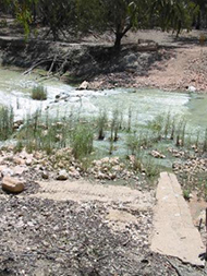 Pooncarie weir is a barrier to fish passage on the Darling River 