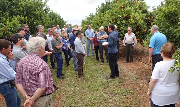 Mark Skews (SARDI) discussing rootstock incompatibility at the SARDI research station field site.