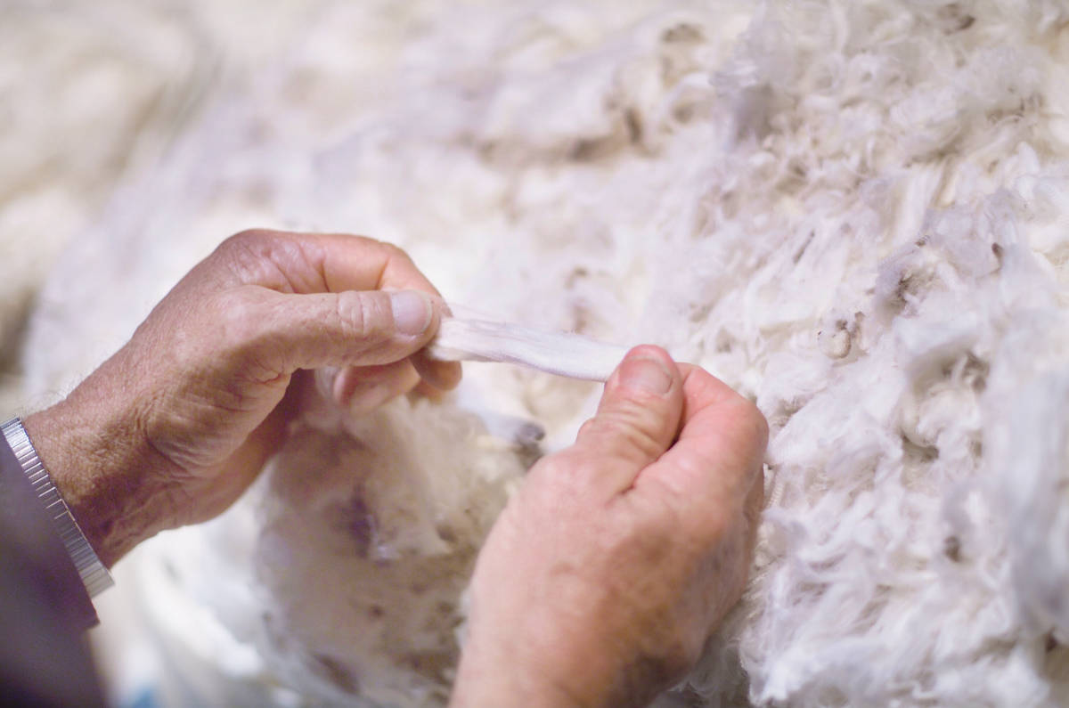 Wool