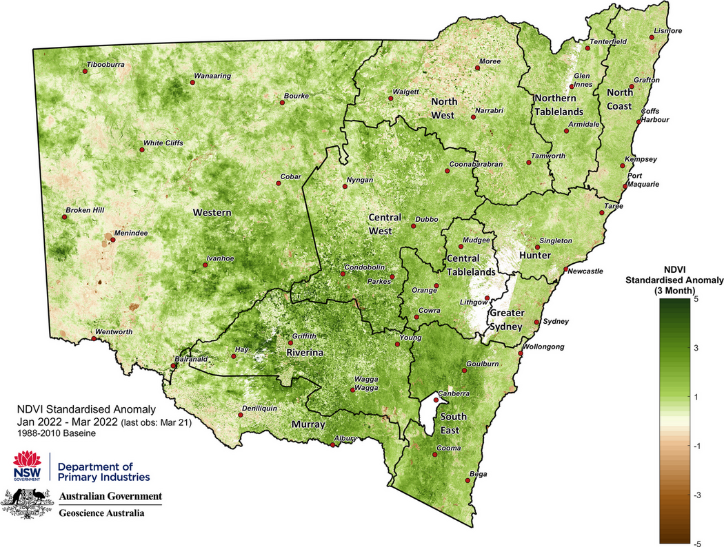 Figure 4. Seasonal NDVI anomaly January 2022 to 21 March 2022