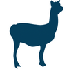 Llama