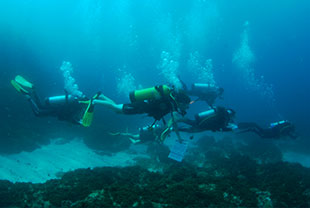 BURG divers