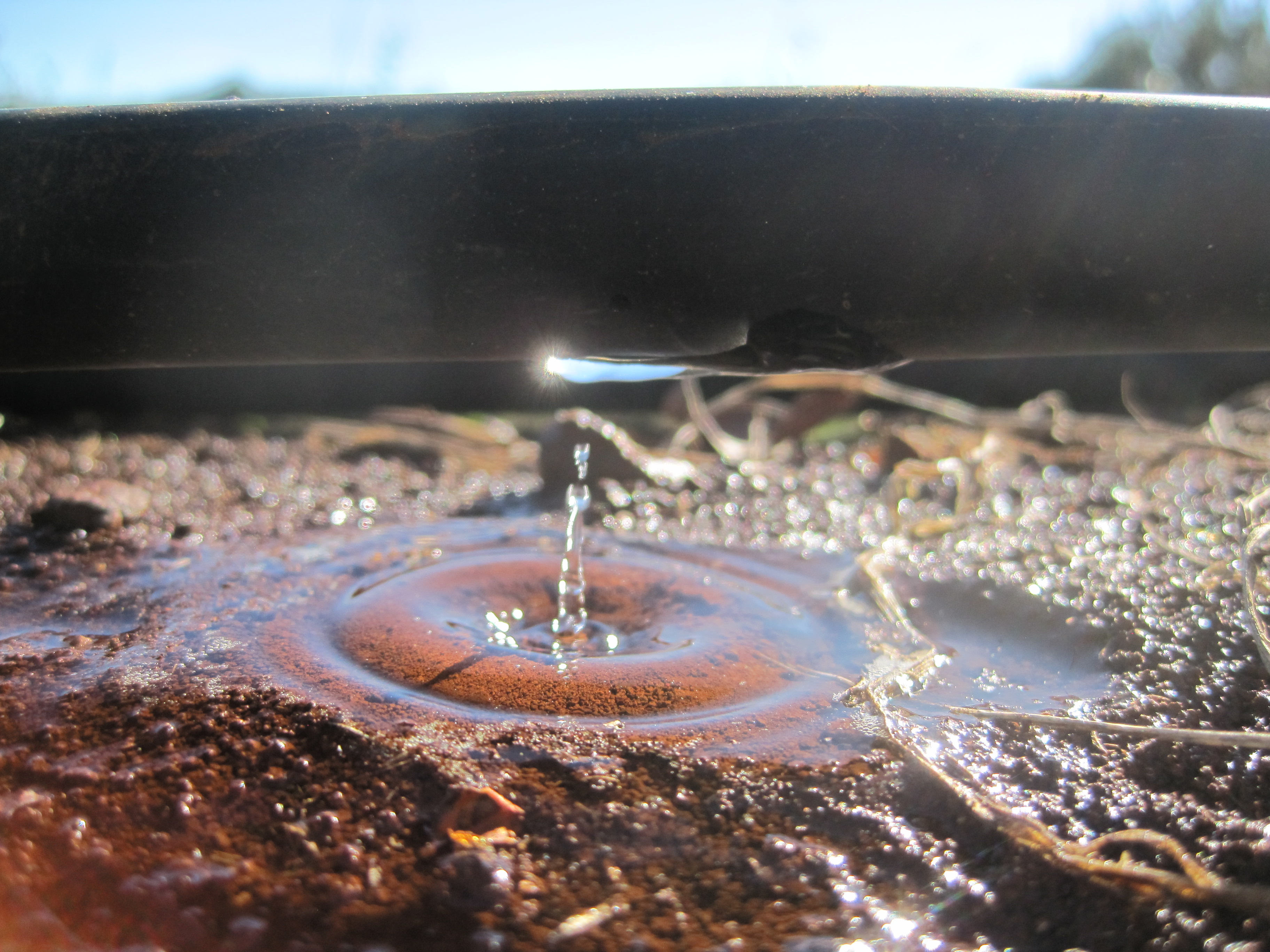 A water droplet hits the surface of silty soil 