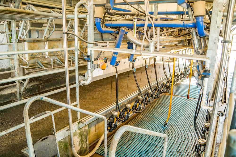 Milking machines