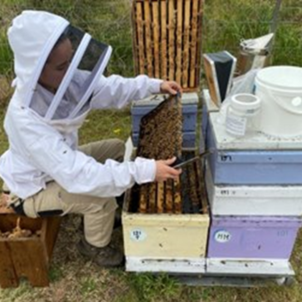 Beekeeper conducting alcohol wash