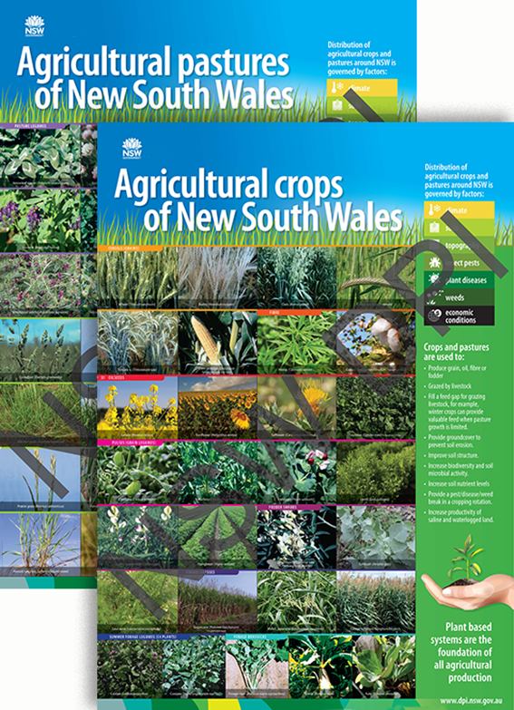 Agricultural pastures and crops of NSW posters