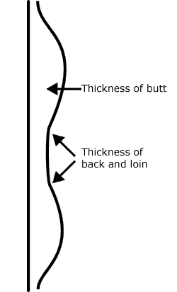 Subcutaneous fat on butt