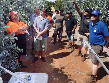 Matt McWilliams (Interlink) discusses the Surround&reg; kaolin clay treated trees at the Sunraysia workshop.