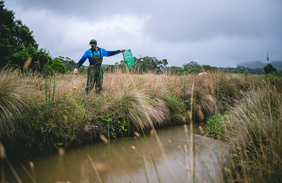 Fisheries researchers play a crucial role in monitoring the population (Photo: A. Pike) Fisheries researchers in action