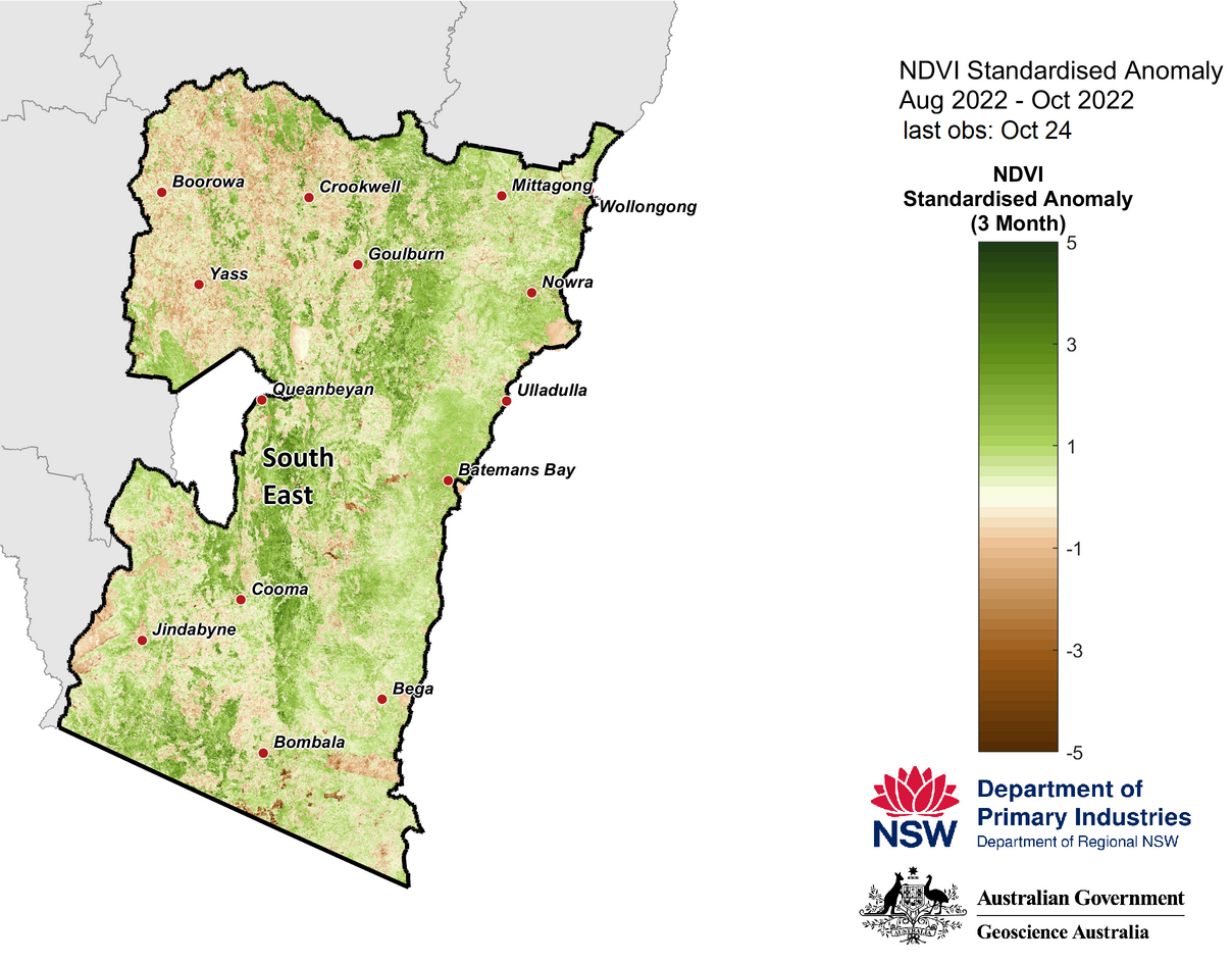 Figure 24. 3-month NDVI anomaly map for the South East region