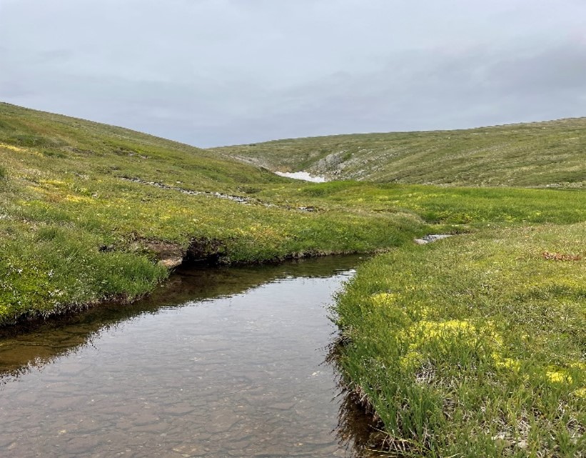 typical Galaxias supremus habitat