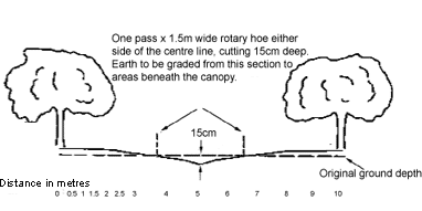 Figure 1. Cross-section between mounded rows running directly downhill One pass x 1.5m wide rotarty hoe either side of the centre link, cutting 15cm deep. Earth to be graded from this section to areas beneath the canopy.