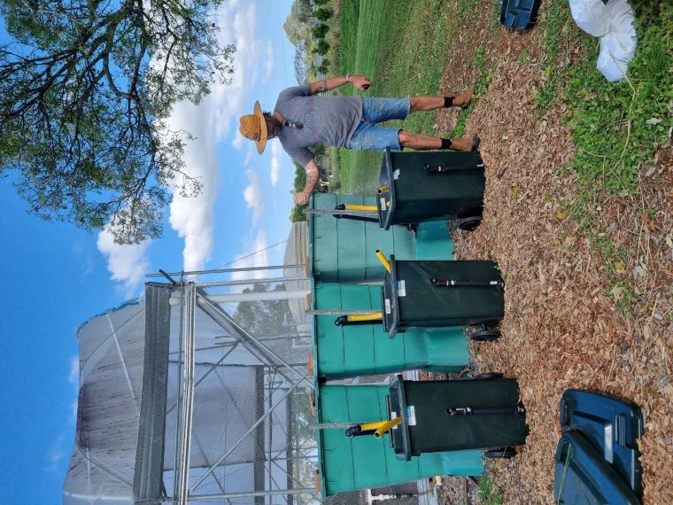 Three small dark green bins are lined up in front of three larger light green bins, at the side end of a large mesh covered greenhouse.  A man in a hat, t shirt and shorts is sprinkling a sandy material(dolomite) into one of the small green bins.  The large bins are connected to the small bins by yellow pipes. 