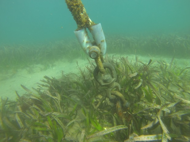 The mooring device fastened in place