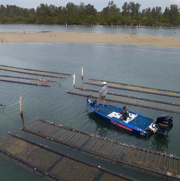 Aquaculture