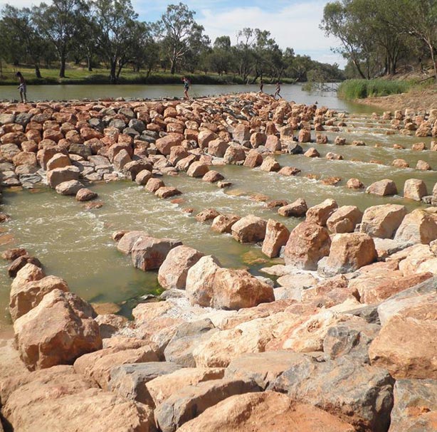 Fish passage