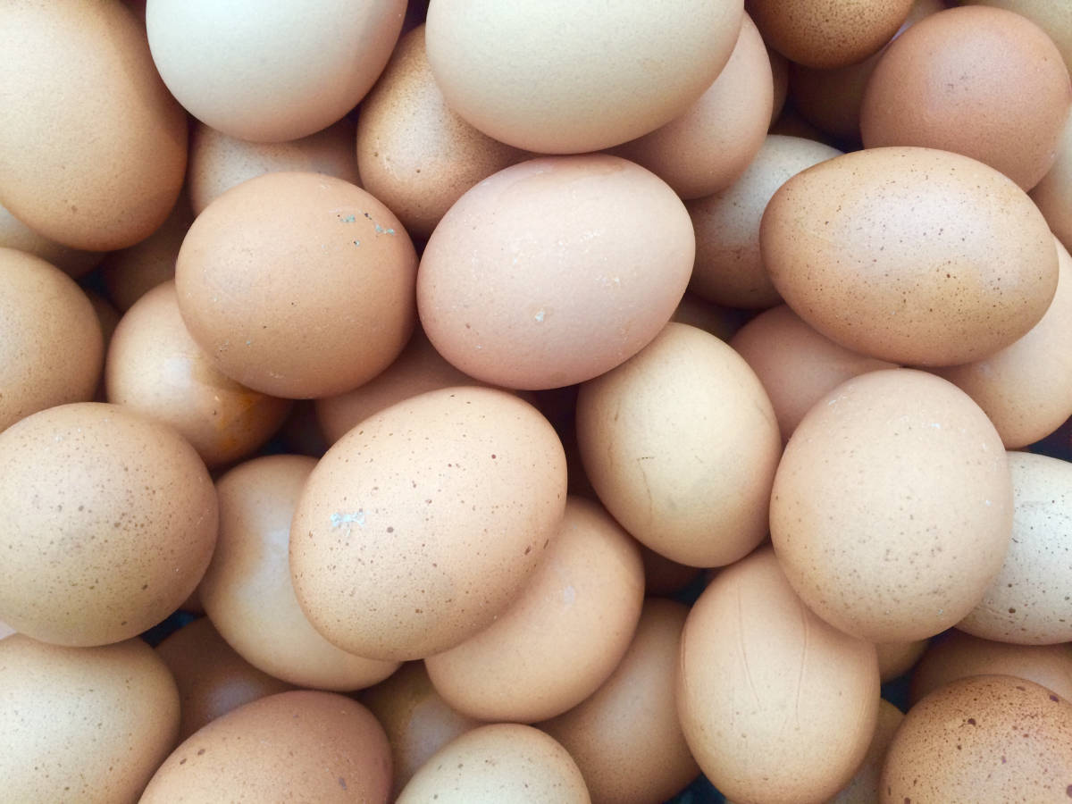 Eggs