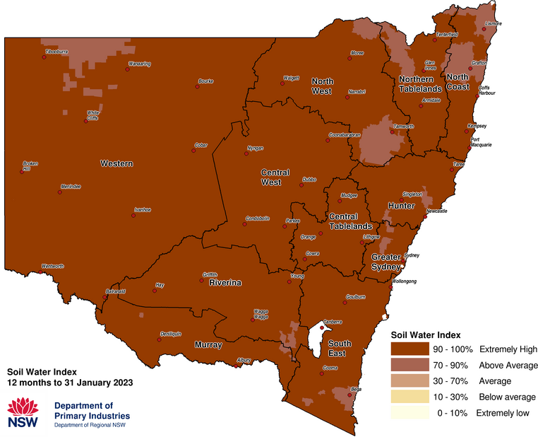 Figure 6. Soil Water Index (SWI) to 31 January 2023