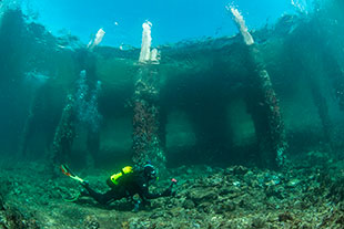 Scuba and snorkelling