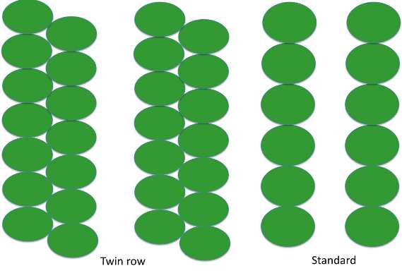 Twin row planting layout