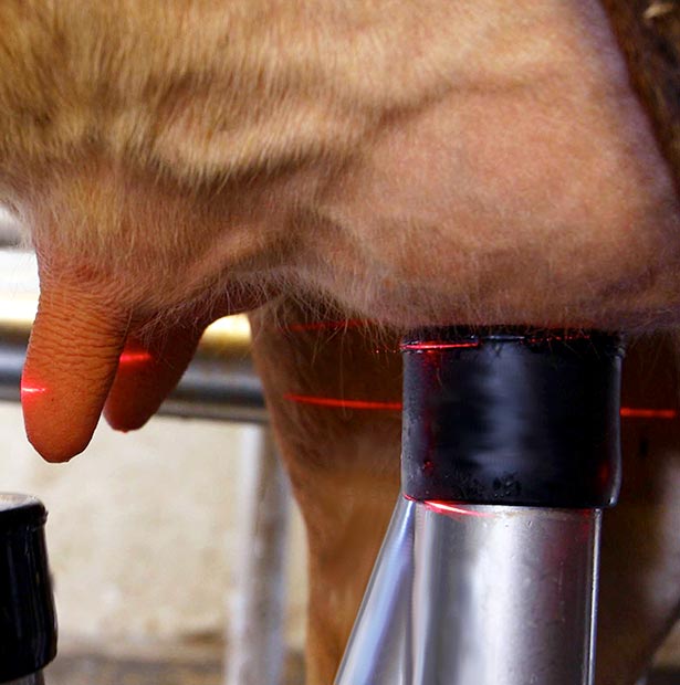 Robotic milking