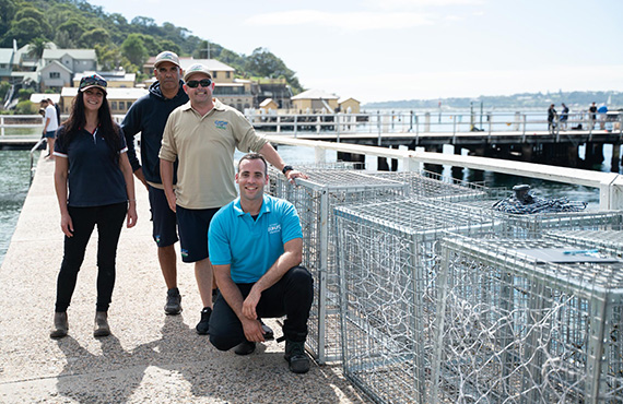 DPI Fisheries and SEA LIFE Aquarium staff and Indigenous Gamay Rangers with the seahorse hotels (Photo: SEA LIFE Sydney Aquarium) DPI Fisheries and SEA LIFE Aquarium staff and Indigenous Gamay Rangers with the seahorse hotels (Photo: SEA LIFE Sydney Aquarium)