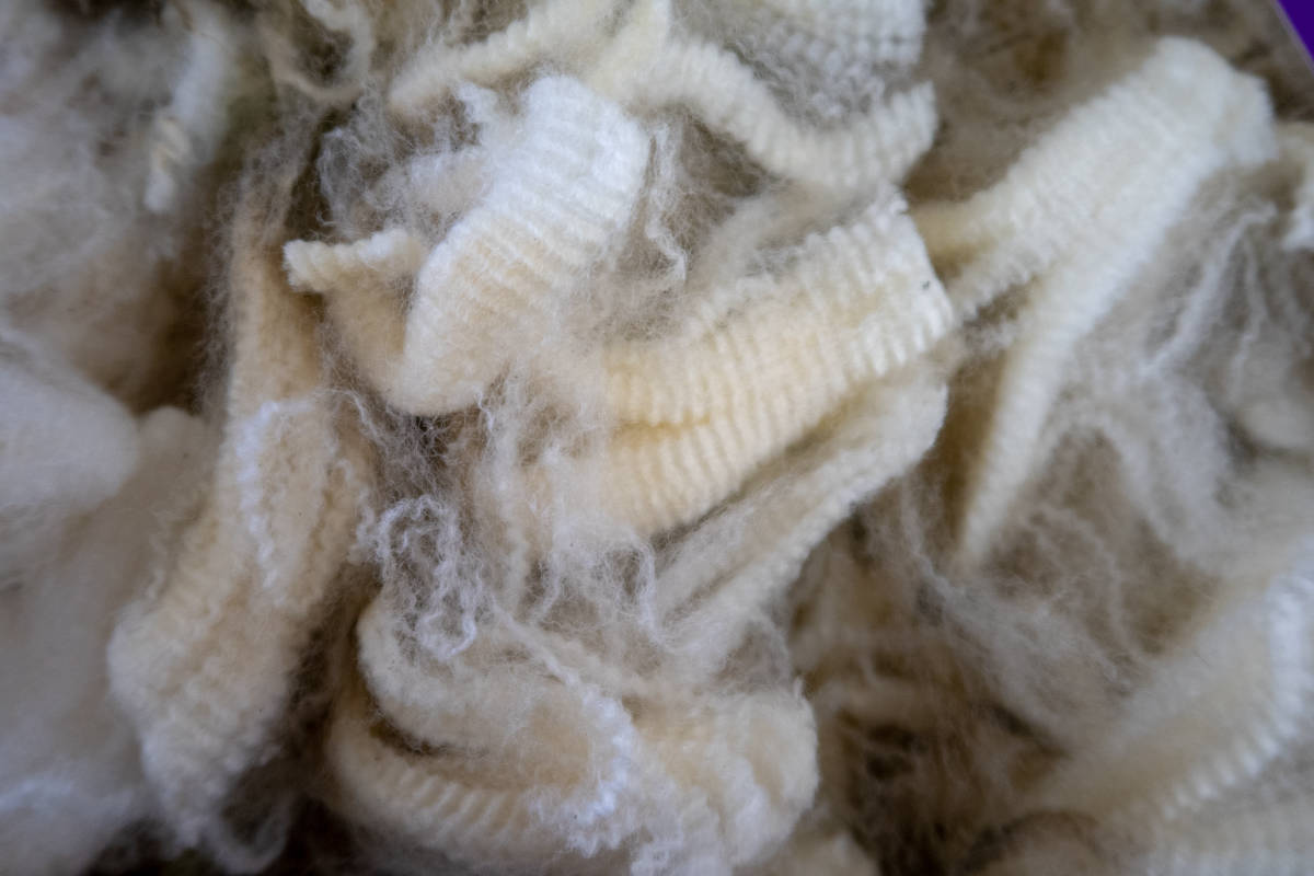Wool