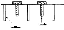 Baffles between teats