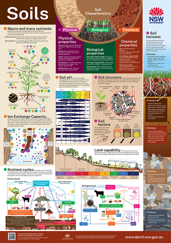 Small image of poster, headings include Biological, Chemical and Physical Characteristics, soil horizons, nutrient cycles and land capability