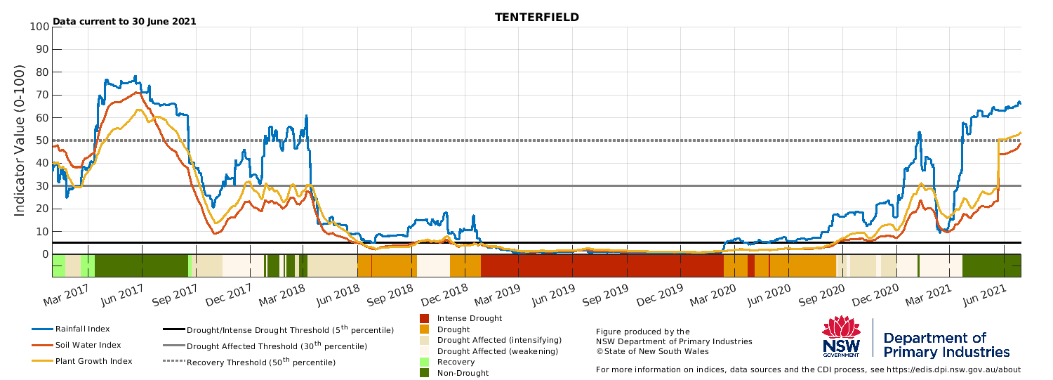 Tenterfield