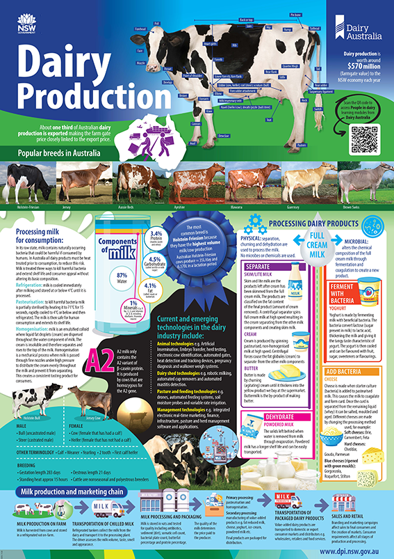 Poster of dairy production in Australia